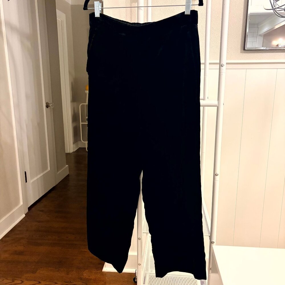 J. Crew Easy Pull On Velvet Pants Size 10
